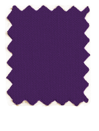 1197 taffeta purple
