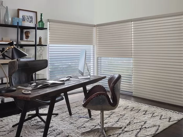 Designer Screen Shades filter light and maintain your view.