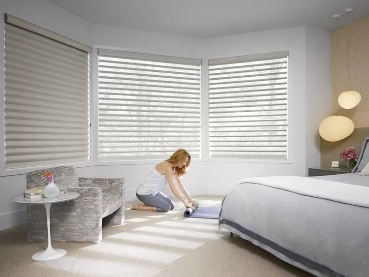 Room Darkening Duette® honeycomb shades , Blackout