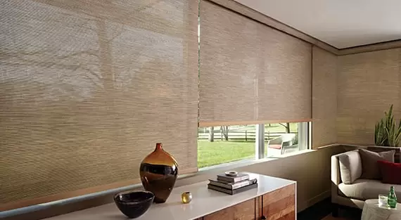 Roller shades - Designer Roller Shades