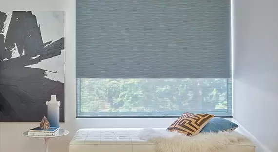 Roller shades - Designer Roller Shades