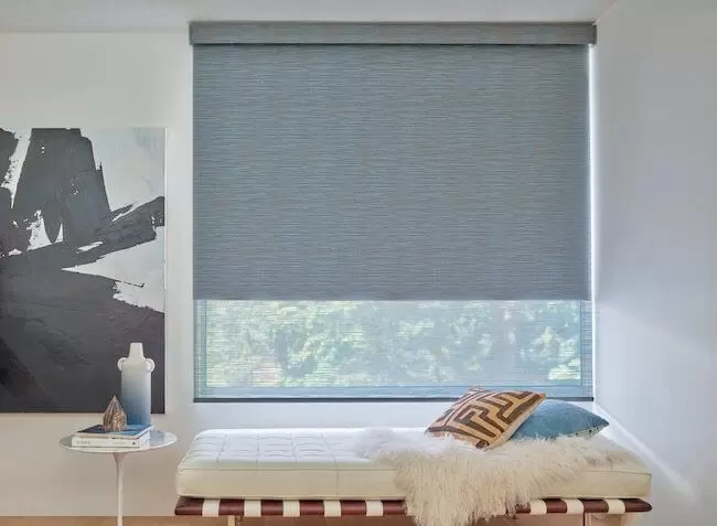 DESIGNER ROLLER SHADES